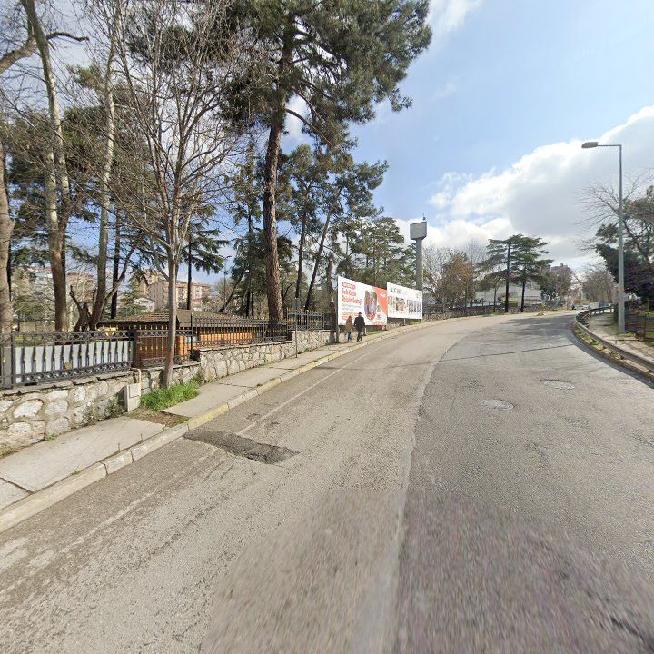 Fotoğraf 12