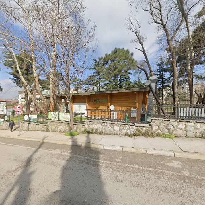 Fotoğraf 11
