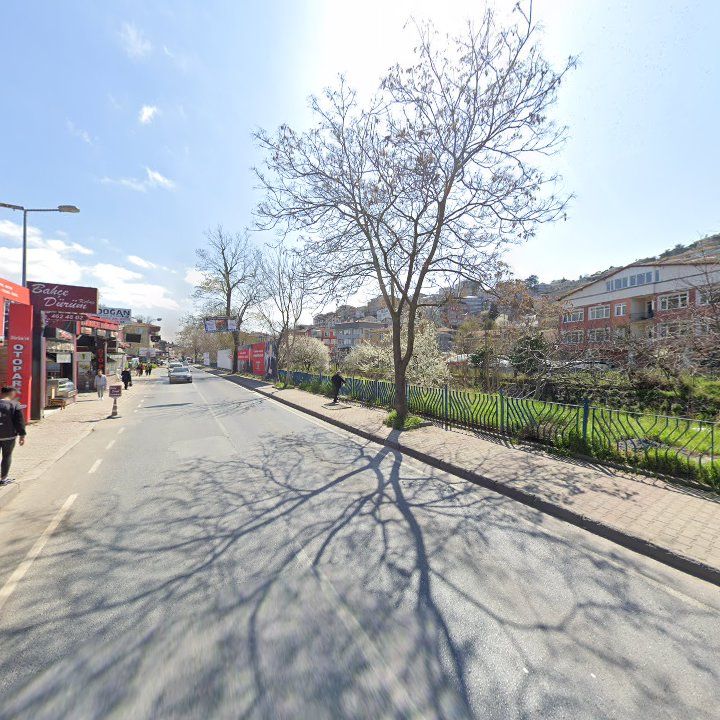 Fotoğraf 7