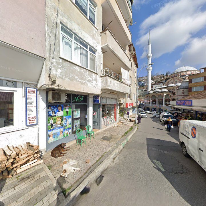 Fotoğraf 6