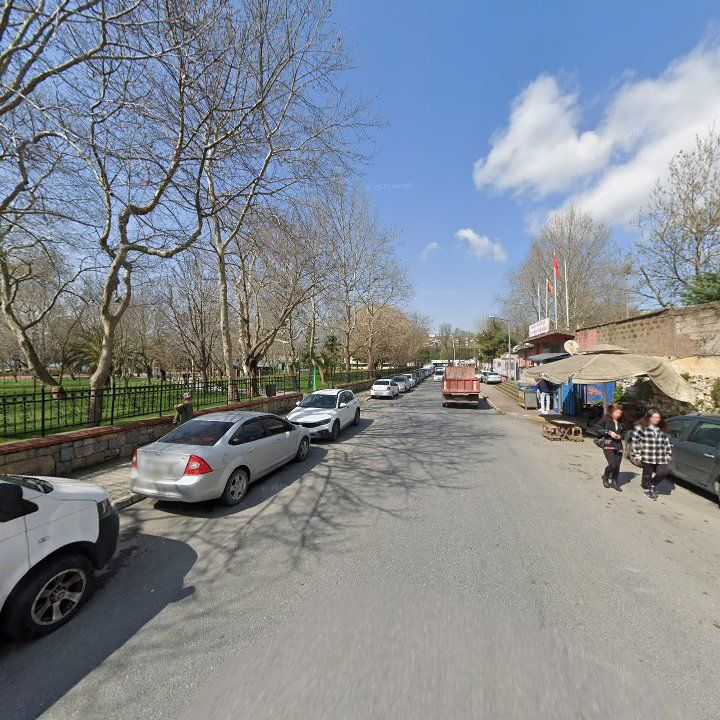 Fotoğraf 8