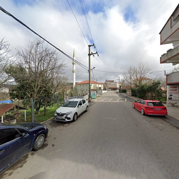 Fotoğraf 7