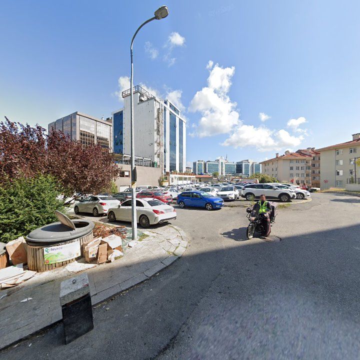 Fotoğraf 11