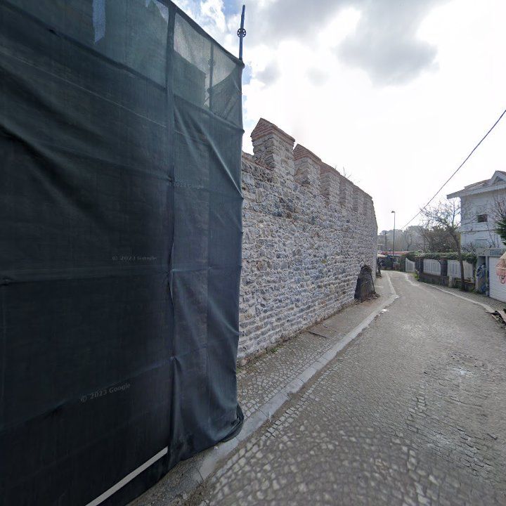 Fotoğraf 12