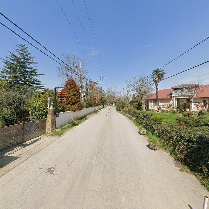 Fotoğraf 11