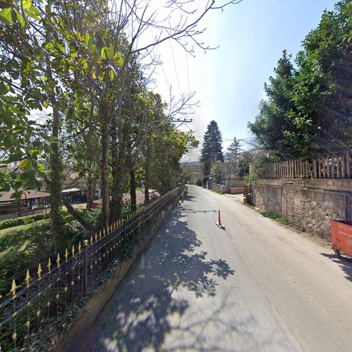 Fotoğraf 8