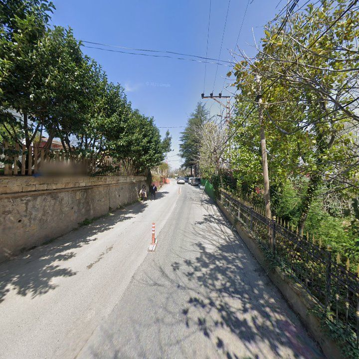 Fotoğraf 10