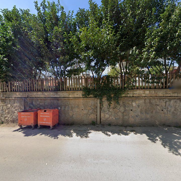 Fotoğraf 9
