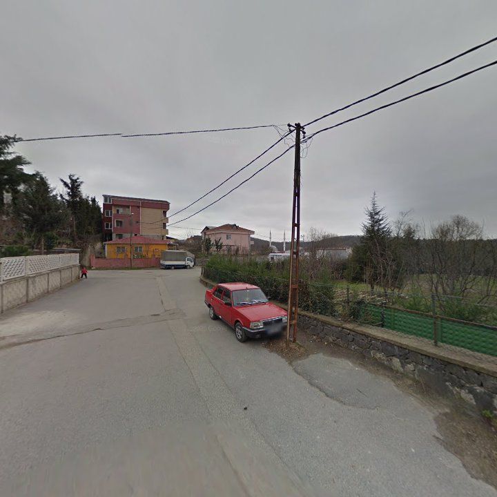 Fotoğraf 9