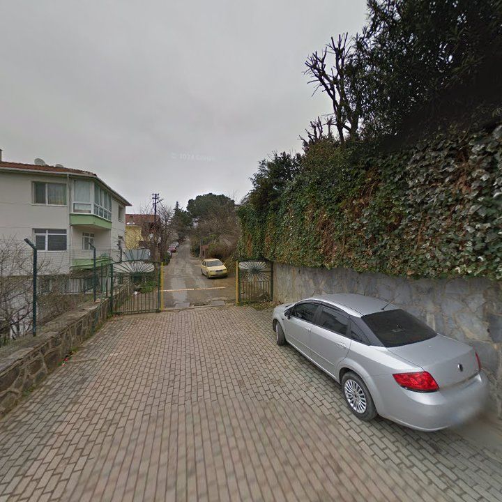 Fotoğraf 10