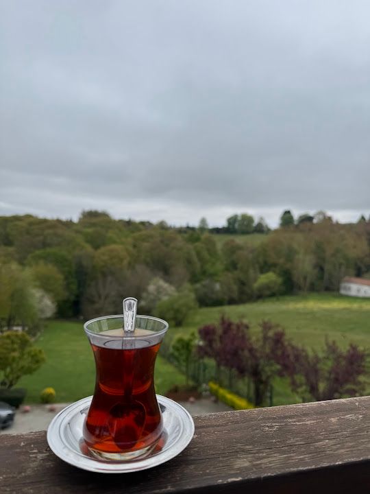 Fotoğraf 9