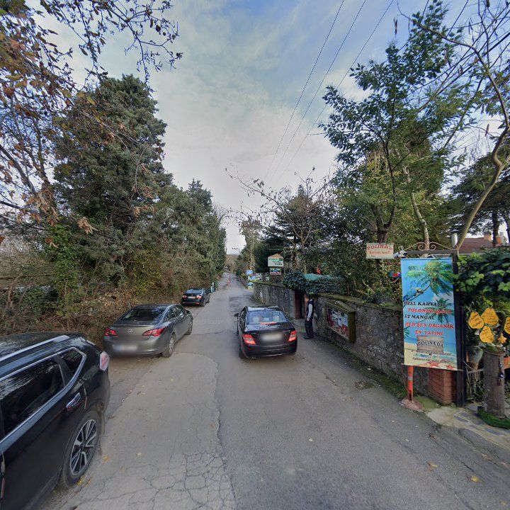 Fotoğraf 15