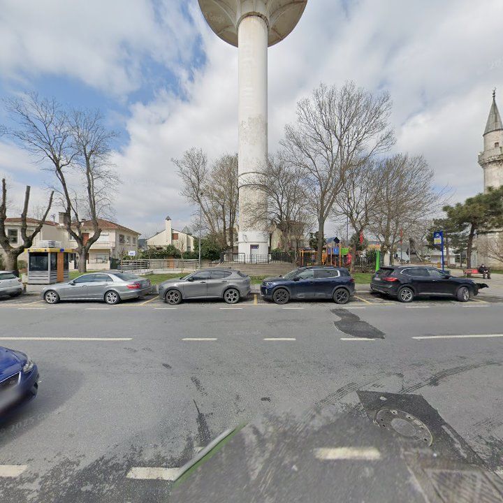 Fotoğraf 9