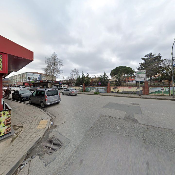 Fotoğraf 8