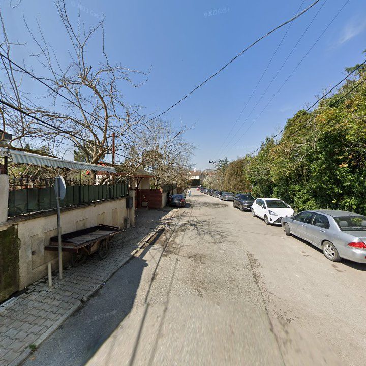 Fotoğraf 12