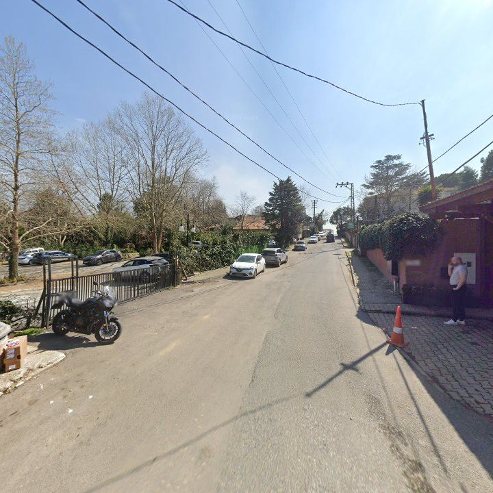 Fotoğraf 14