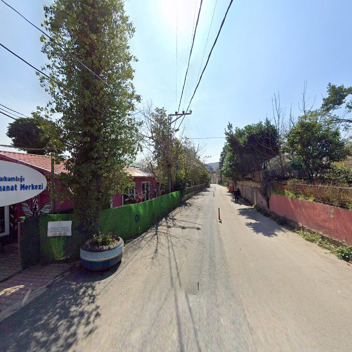 Fotoğraf 8