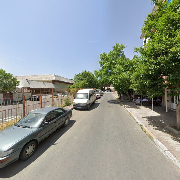 Fotoğraf 9