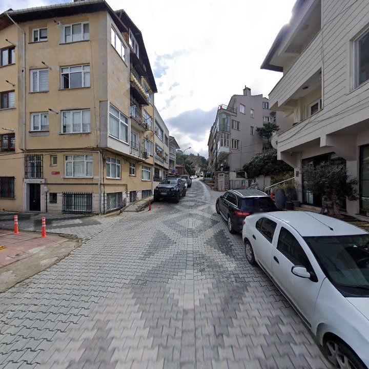 Fotoğraf 11