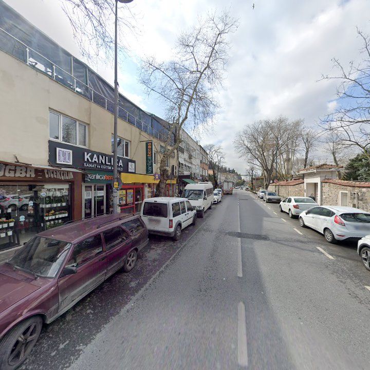 Fotoğraf 17