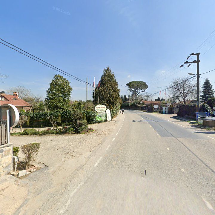 Fotoğraf 15