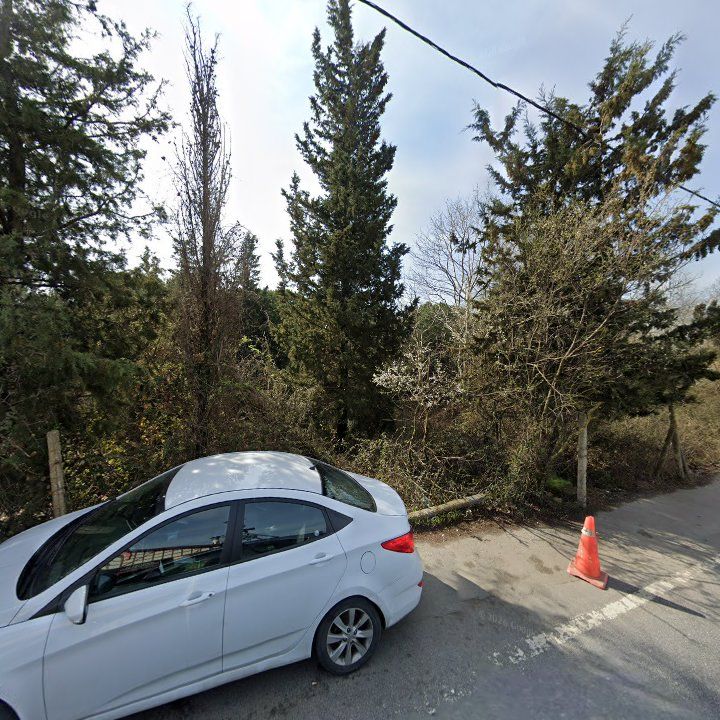 Fotoğraf 12
