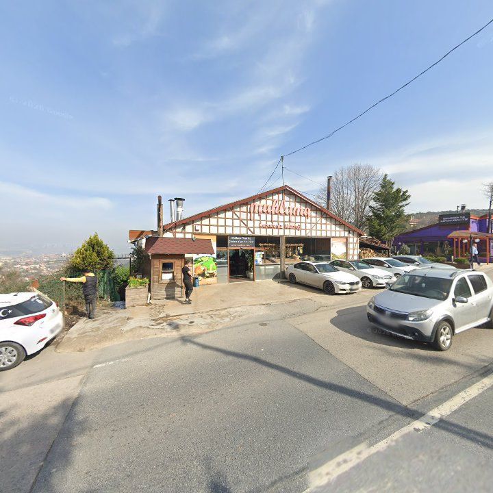 Fotoğraf 10