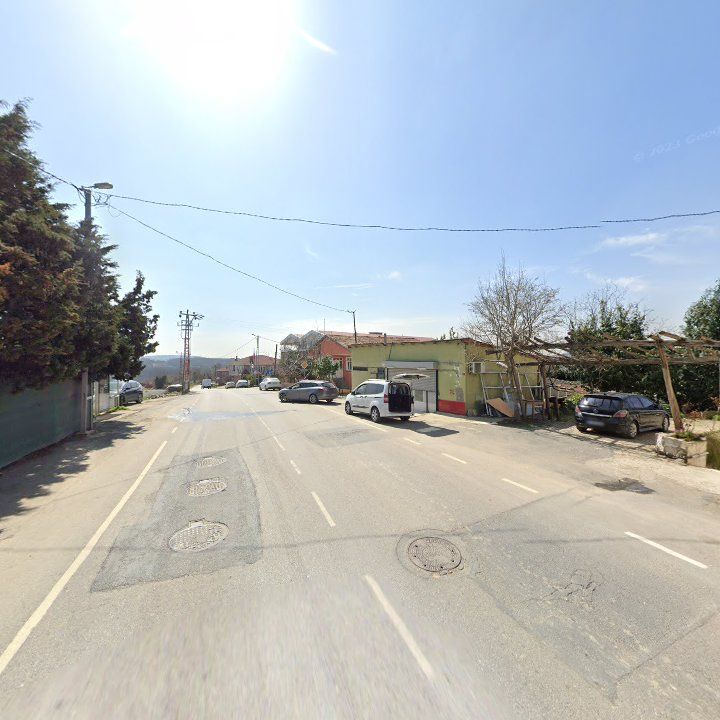Fotoğraf 9