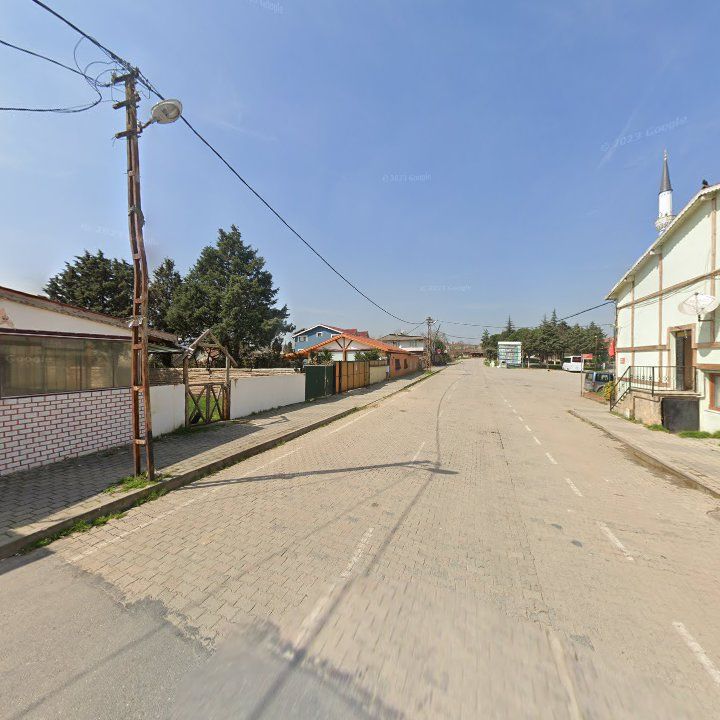 Fotoğraf 6