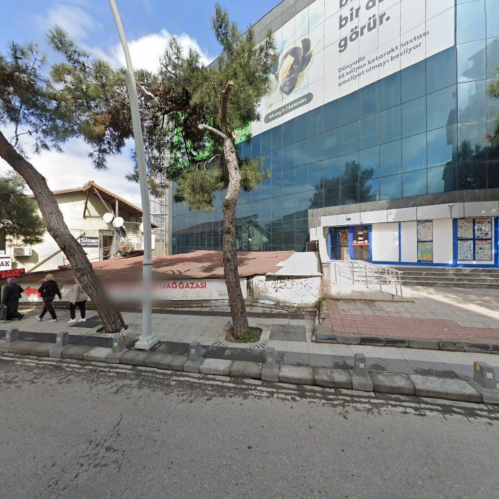 Fotoğraf 12