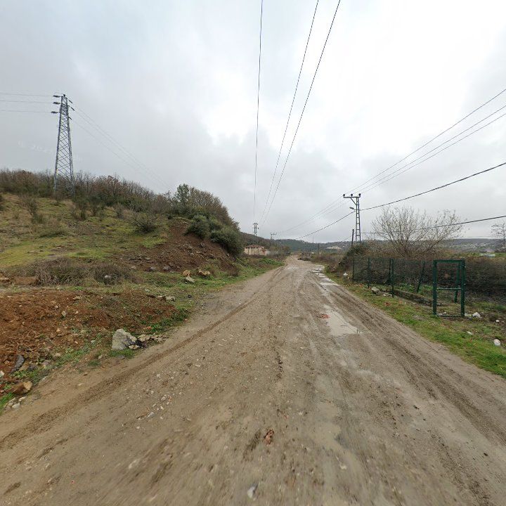 Fotoğraf 7