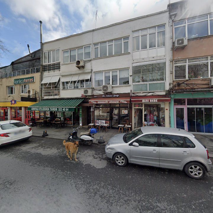 Fotoğraf 8