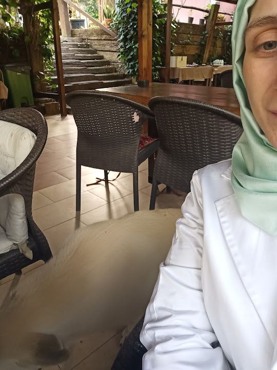 Yorum fotoğrafı 4