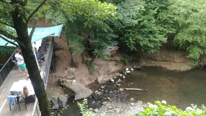 Fotoğraf 49