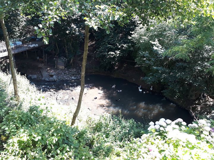 Fotoğraf 59