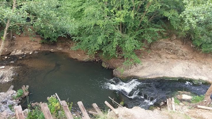 Fotoğraf 56