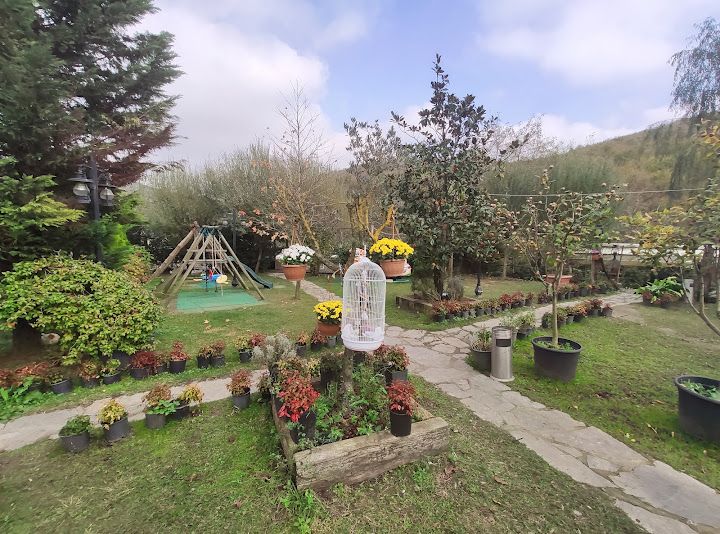 Fotoğraf 54