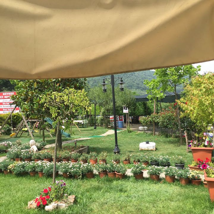 Fotoğraf 63