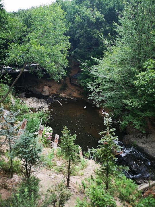 Fotoğraf 47