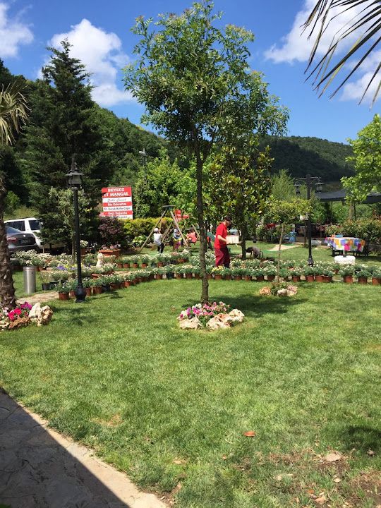 Fotoğraf 61