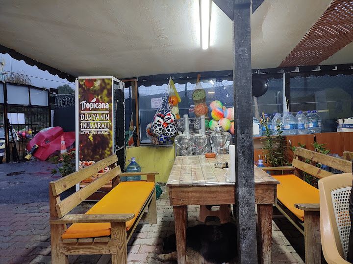 Fotoğraf 4