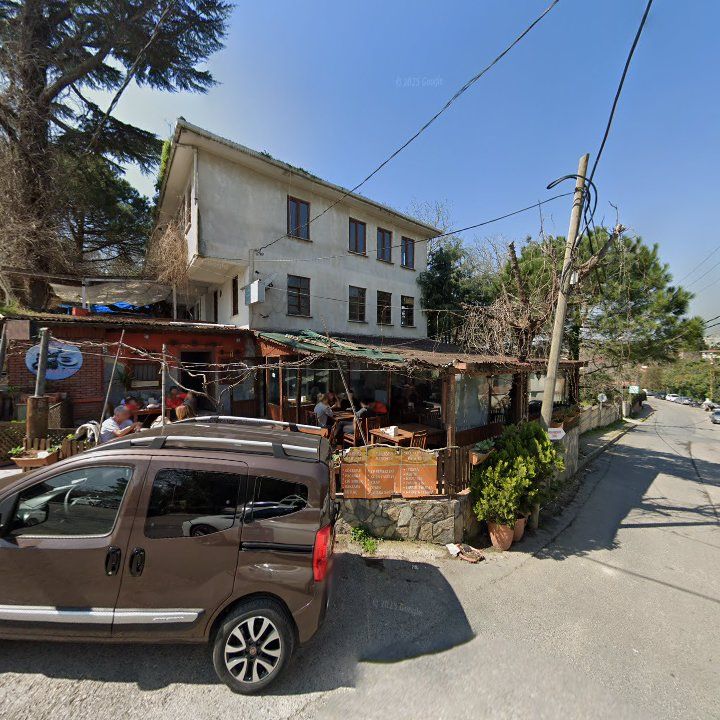 Fotoğraf 12
