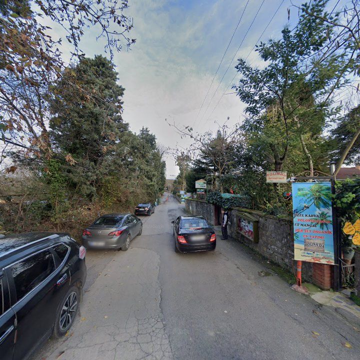 Fotoğraf 11