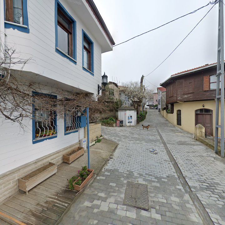 Fotoğraf 8