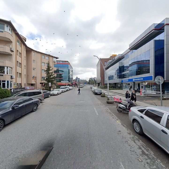 Fotoğraf 11