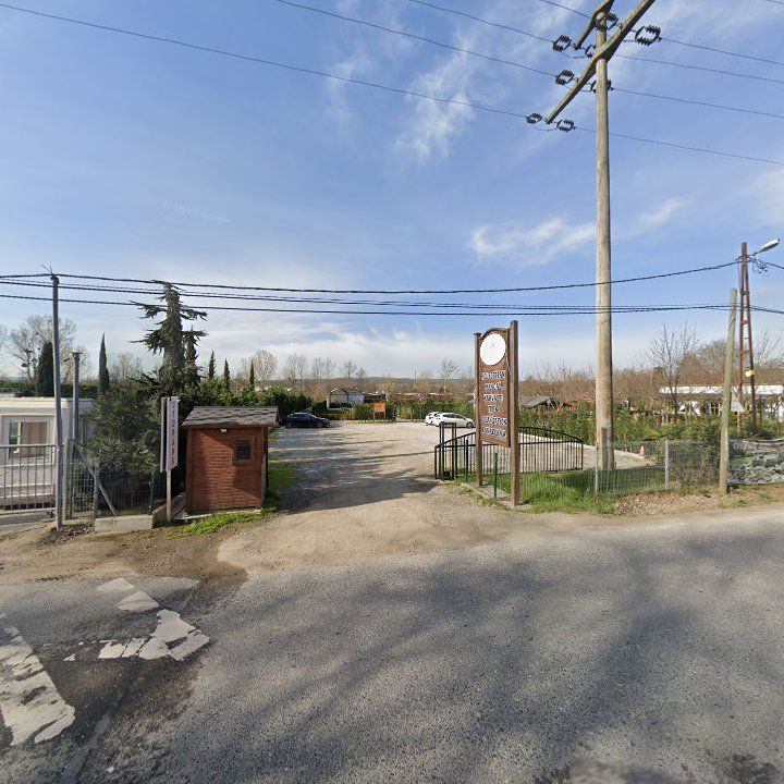 Fotoğraf 11