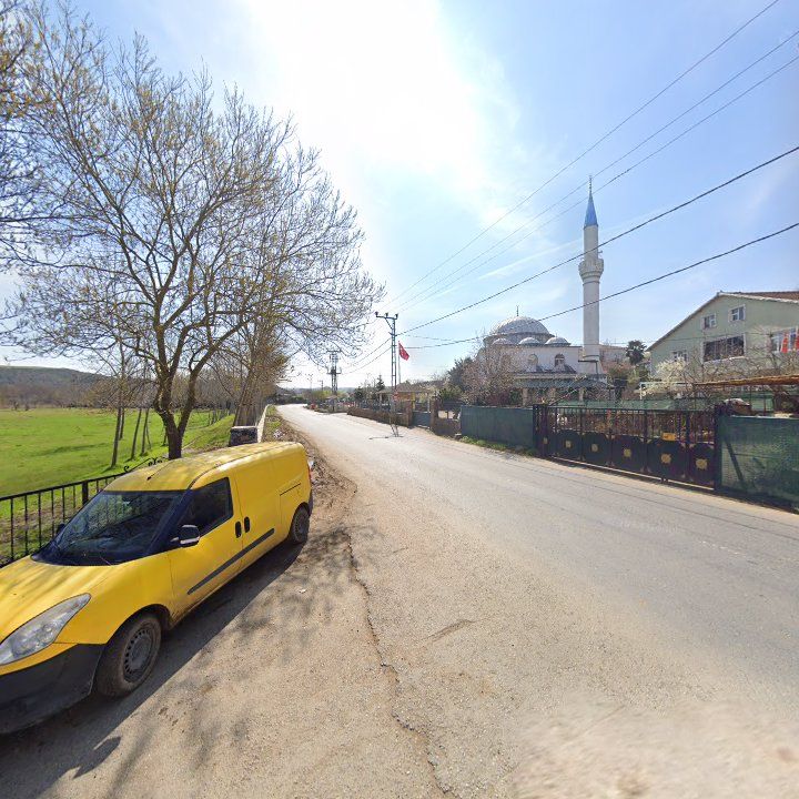 Fotoğraf 8