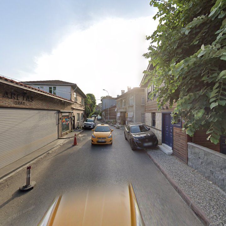 Fotoğraf 10