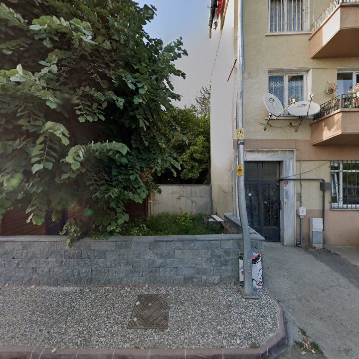 Fotoğraf 11