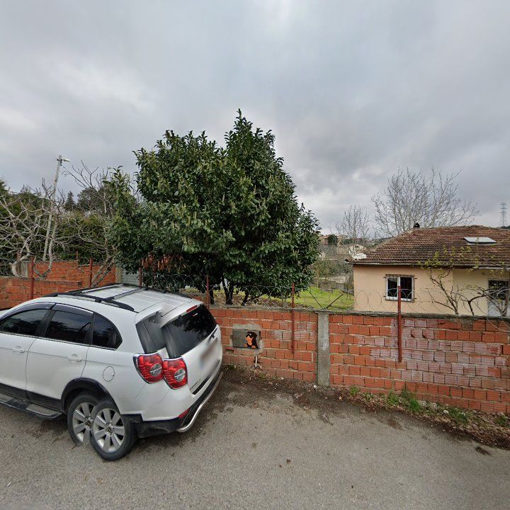 Fotoğraf 7